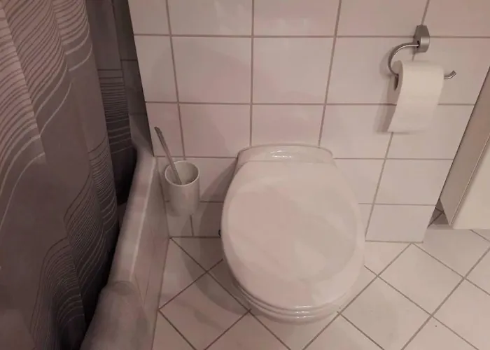 Enzian アパート *